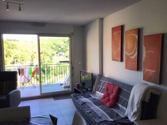Gîte pour 6 personnes, avec terrasse et balcon/terrasse, animaux acceptés dans Plage des Elmes - 4