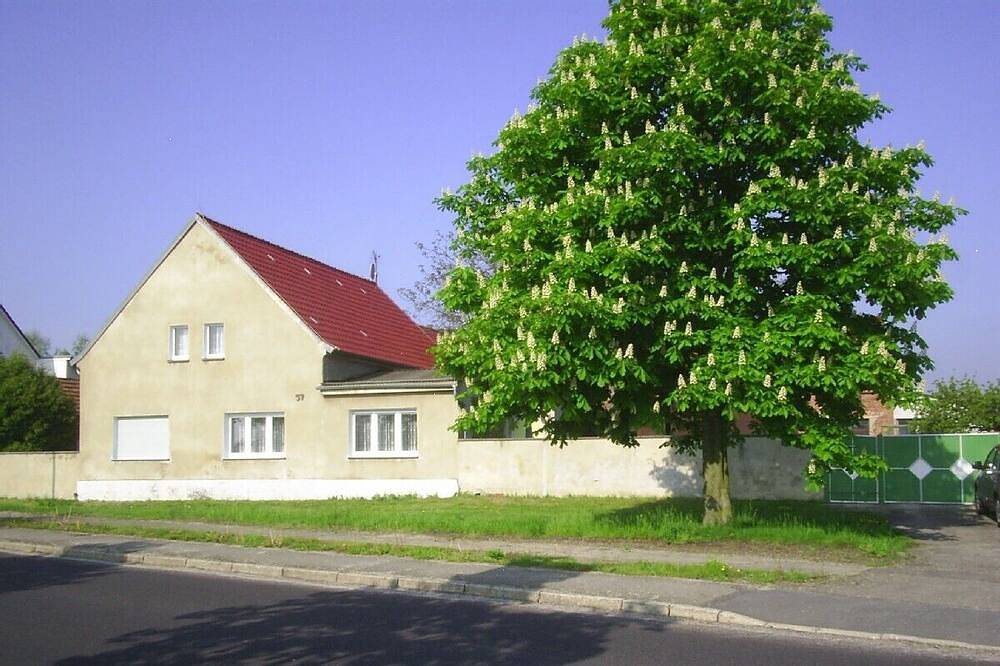 Ganze Wohnung, 2 Ferienwohnungen für 5 bis 8 Personen in Stadtlage, Nahe Kiebitz-See in Falkenberg/Elster, Naturpark niederlausitzer heidelandschaft (Brandenburg)