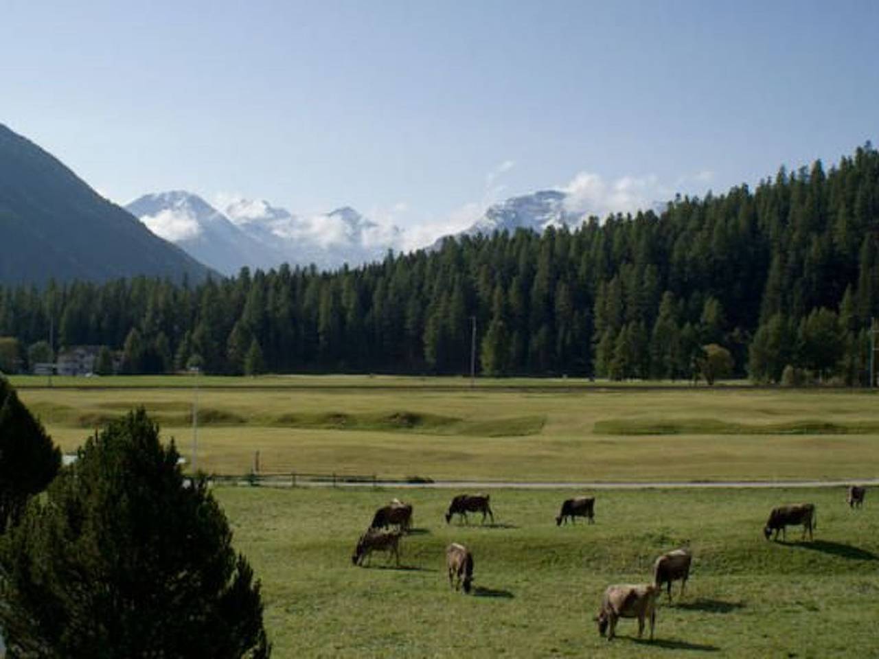 Geheel appartement, Chesa Bellavista in Bever, Saint Moritz