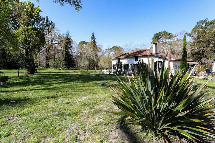 Maison de vacances pour 4 personnes, avec terrasse et jardin