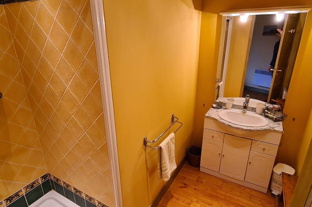 Un loft 4* dans une ancienne Meunerie, avec vue sur la Charente et sa campagne in Mansle, Charente