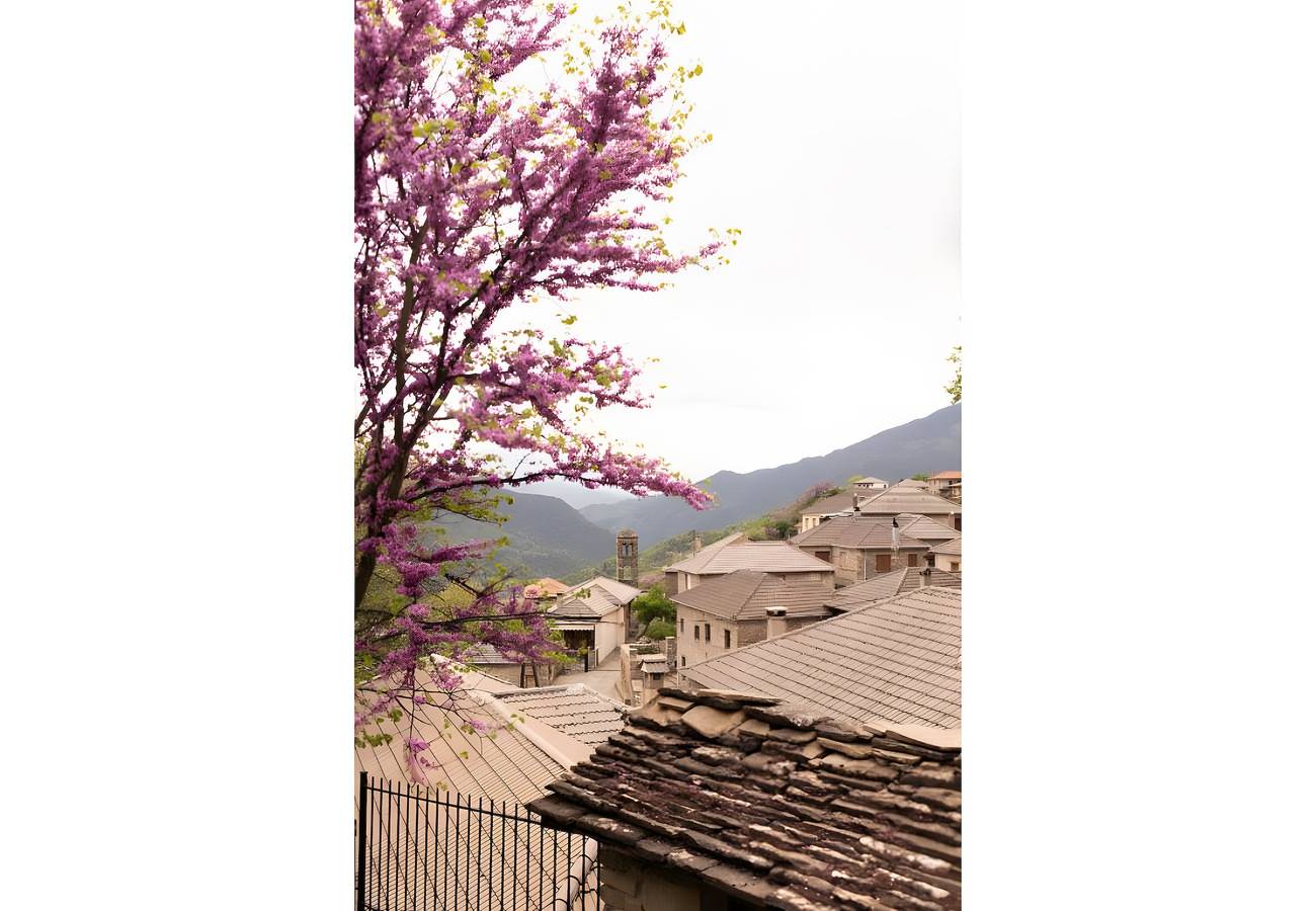 Guest House 'Armoloi Room 4' with Mountain View, Shared Terrace and Wi-Fi in Vikos-Aoos National Park