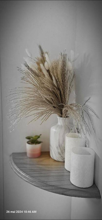 Gîte pour 4 personnes, avec terrasse à Blavozy - 4