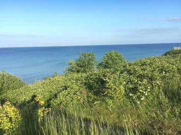 Ferieudlejning til 6 Personer i Saksild Strand, Rude Strand, Billede 2