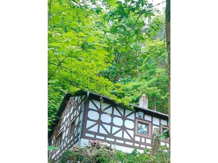 Ferienwohnung für 14 Personen, mit Garten und Sauna in Sankt Martin