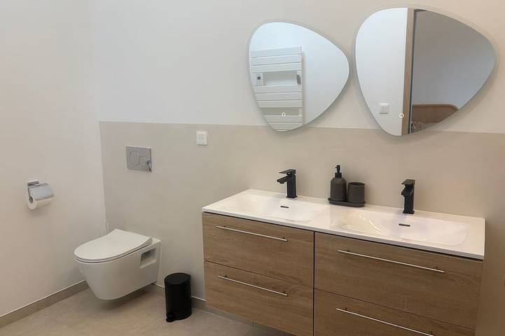 Gîte pour 10 personnes, avec sauna ainsi que jardin et jacuzzi à Asnières-sur-Vègre - 4