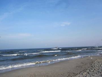 Ferienpark für 4 Personen in Seebad Zempin, Zempin, Bild 2