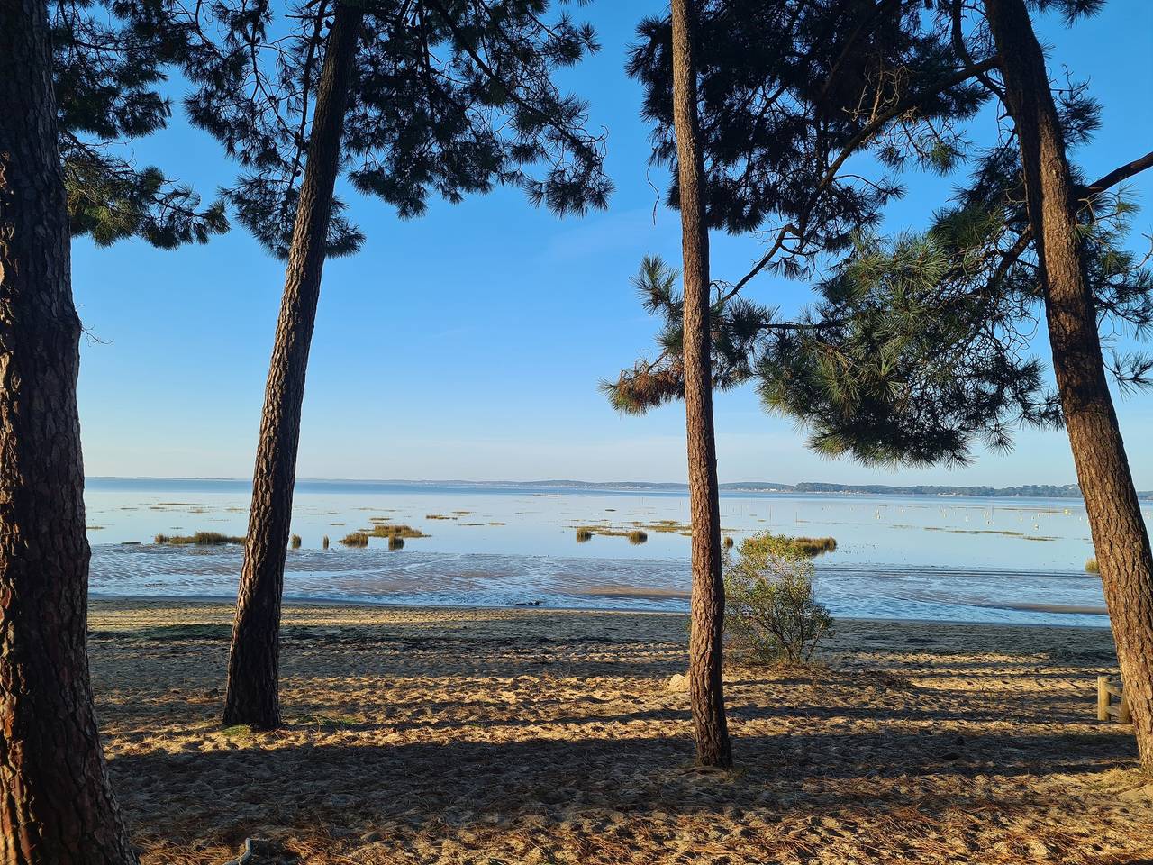 Apartamento entero, Apartamento acogedor en Arès - 40 m² - Jardín vallado in Arès, Region de Arcachon