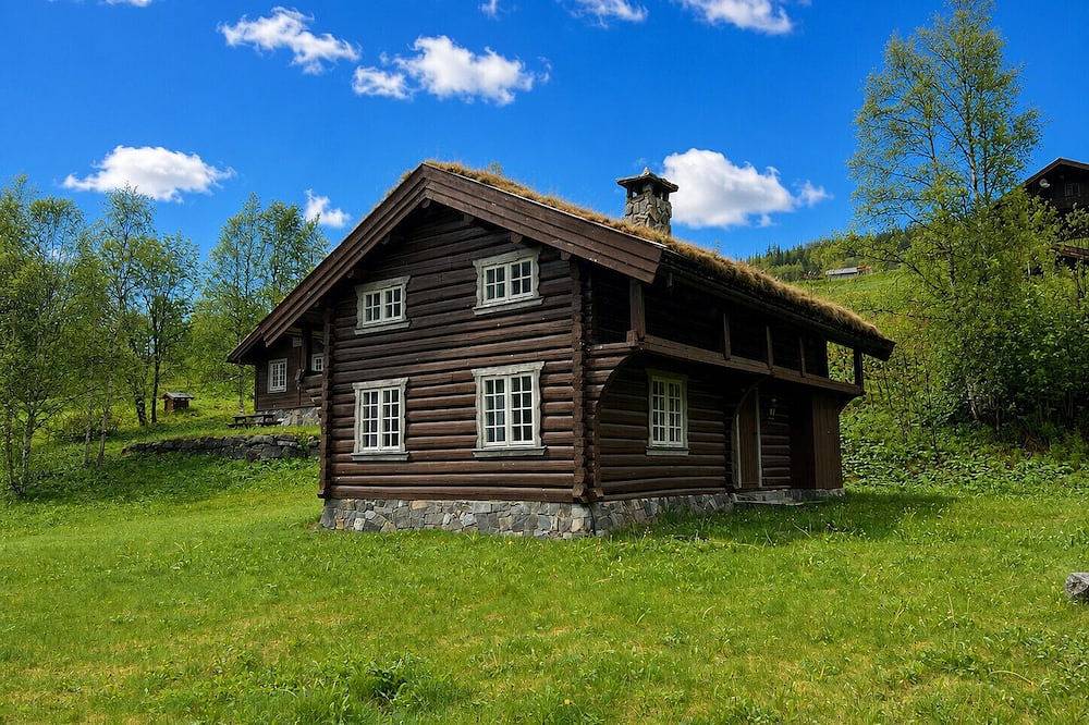 Mountain cabin 6 in Ål with Sauna in Ål