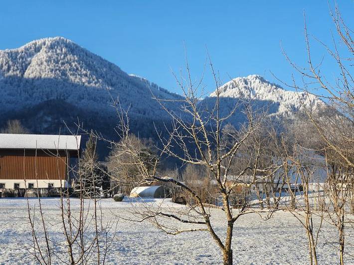 Bungalow für 3 Personen, mit Balkon/Terrasse und Terrasse, mit Haustier in Bayern - 3