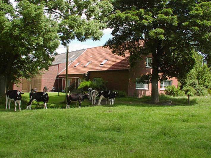 Bauernhof für 4 Personen, mit Terrasse und Garten in Ostfriesland - 2