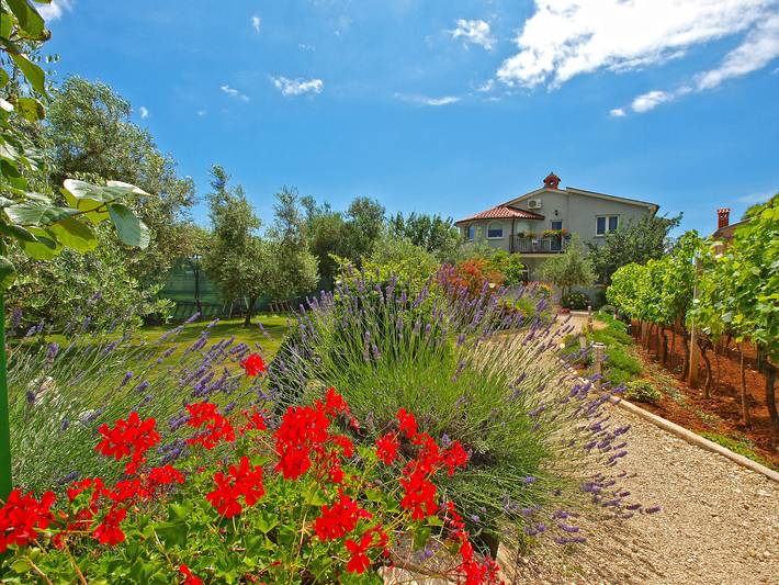 Vakantiewoning voor 4 personen, met Terras in Fažana
