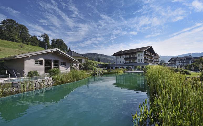 Hotel für 5 Personen, mit Whirlpool und Sauna sowie Garten in Baiersbronn - 2