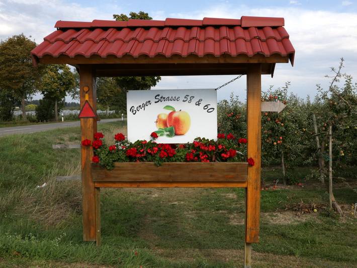 Bauernhaus für 4 Personen, mit Terrasse und Garten, kinderfreundlich am Bodensee - 3