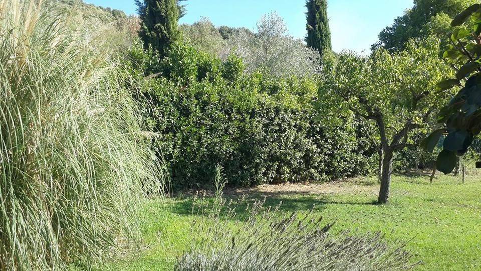 Holiday Home in Trevignano Romano, Braccianosee