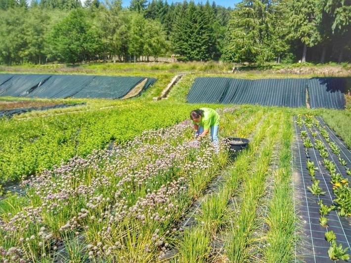 Albergue para 4 personas, con jardín y vistas en Región Norte (Portugal) - 2