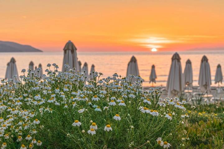 Hotel für 2 Personen, mit Garten und Pool sowie Whirlpool in Biodola - 3