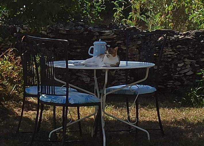 Chambre d’hôte pour 2 personnes, avec piscine et jardin dans Parc Naturel Régional des Causses du Quercy - 4