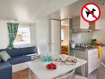 Camping voor 4 Personen in Pont-Scorff, Lorient en omgeving, Afbeelding 3