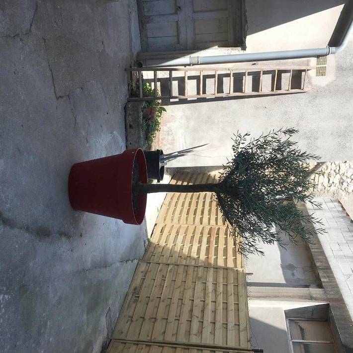 Location de vacances pour 4 personnes, avec vue et jardin à Bourg-Saint-Andéol - 2