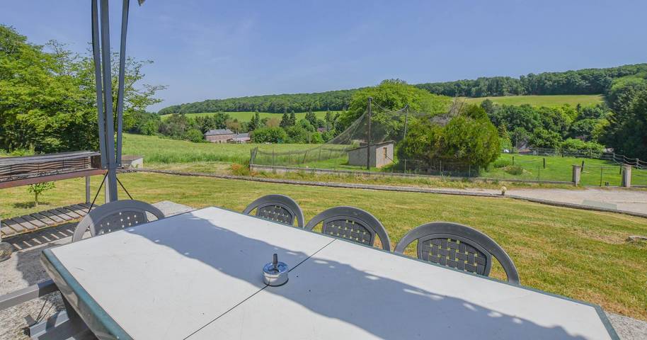 Gîte pour 12 personnes, avec Terrasse et Jardin dans Bœurs-en-Othe