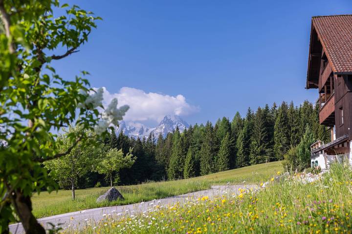 Ganze Ferienwohnung, Ferienhaus Lehen - Ferienhaus für 2-4 Personen in Berchtesgaden, Berchtesgadener Alpen