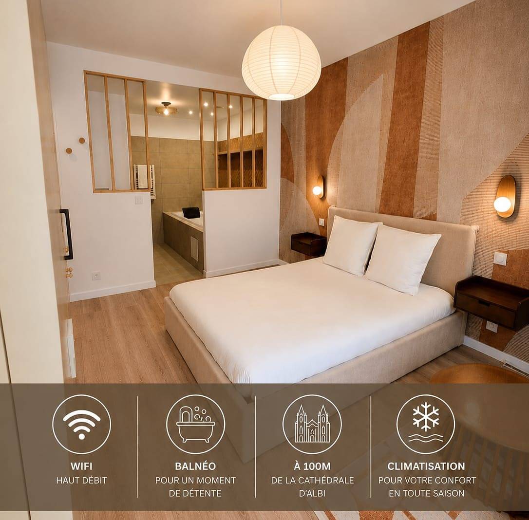 Apartamento entero, Apartamento de vacaciones para 2 personas con jacuzzi in Albi (Tarn), Región de Albi