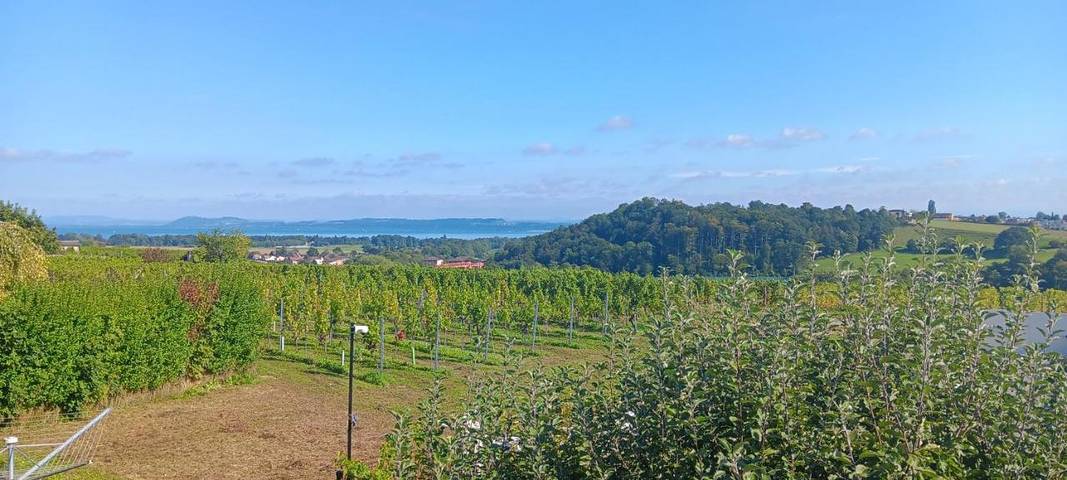 Location de vacances pour 6 personnes, avec vue sur le lac ainsi que vue et jardin à Boudry - 2