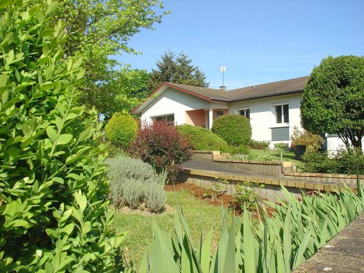 Offer view