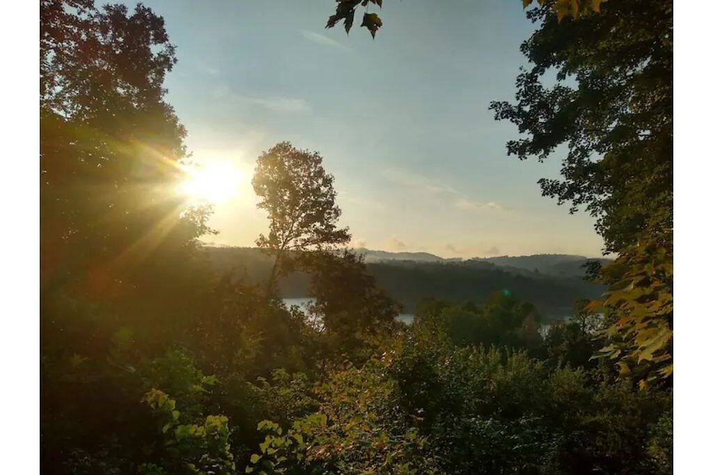 Lake Therapy in Norris Lake