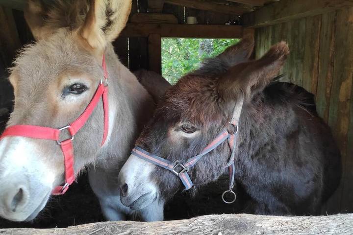 Gîte pour 5 personnes, avec vue et balcon, adapté aux familles à Mieussy - 4