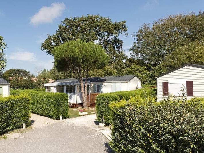 Camping pour 6 personnes, avec bassin pour enfant et piscine à Bretignolles-sur-Mer - 3