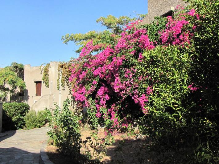 Bungalow für 2 Personen, mit Garten, mit Haustier auf den Peloponnes