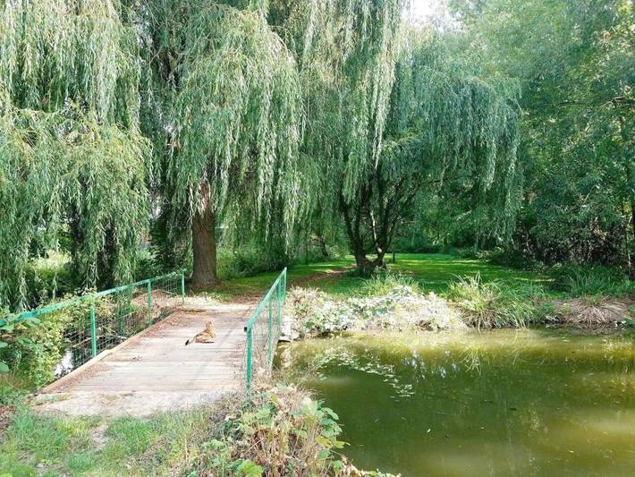Gîte pour 2 personnes, avec jardin à Seine-Port - 4