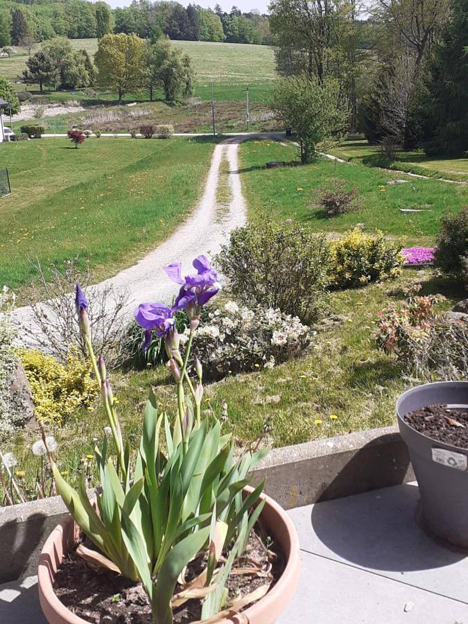 Location de vacances pour 2 personnes, avec jardin ainsi que vue et terrasse à Bellefontaine (Vosges) - 4