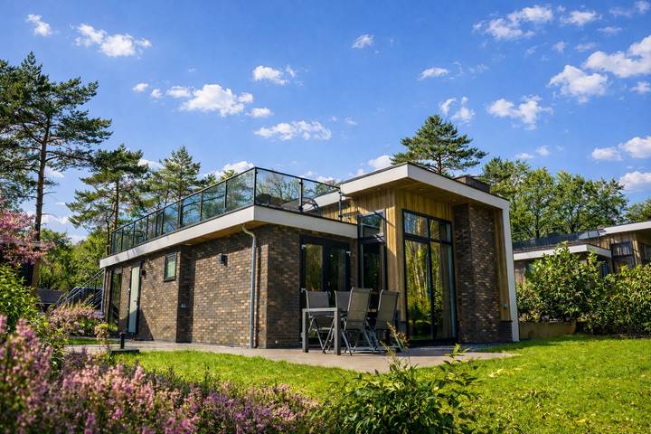 Chalet voor 6 personen, met tuin en terras, met huisdier in Hoenderloo