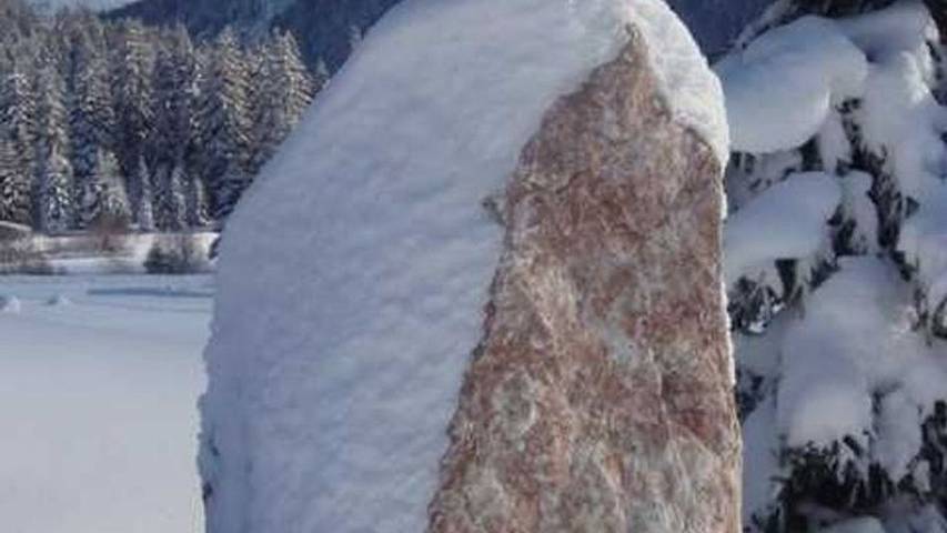 Ferienwohnung für 5 Personen, mit Garten am Haldensee