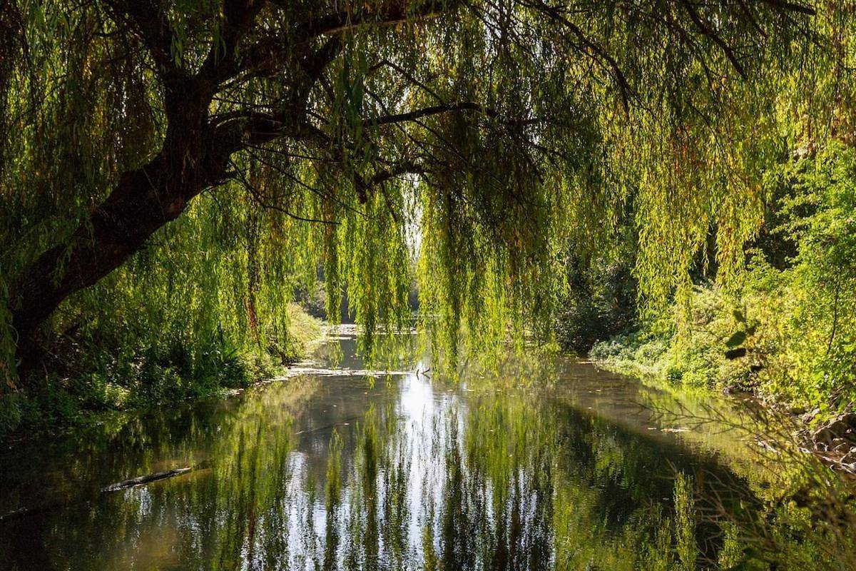 Le Moulin Inattendu, la Bonne Vie à 1h de Paris in Préfontaines, Région de Montargis
