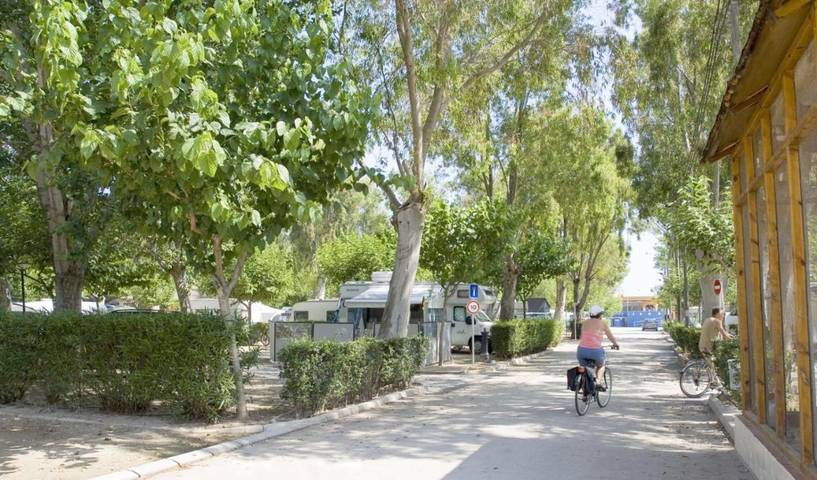 Camping pour 5 personnes, avec jardin et terrasse sur la Costa Blanca - 4