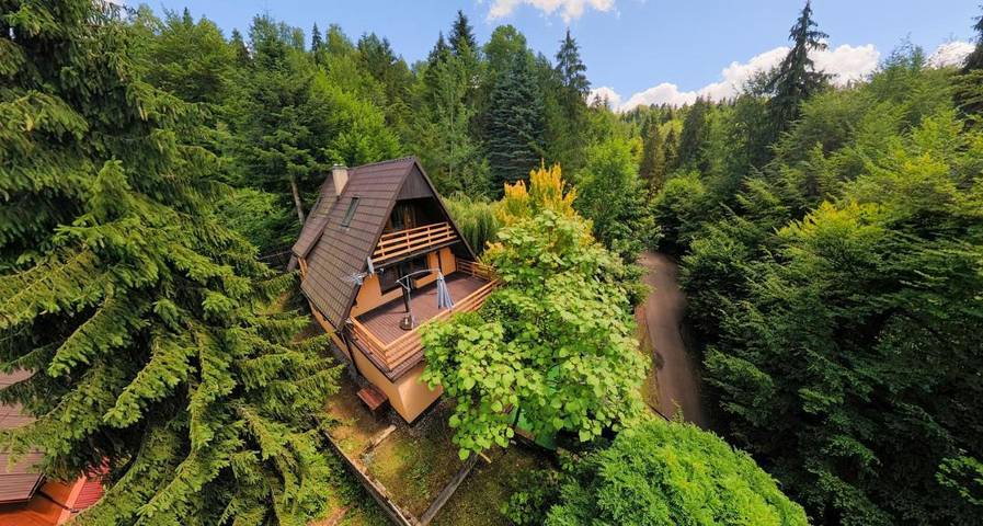 Dom wakacyjny dla 14 osób, z Balkon i Jacuzzi oraz Taras i Ogród w Międzybrodzie Żywieckie