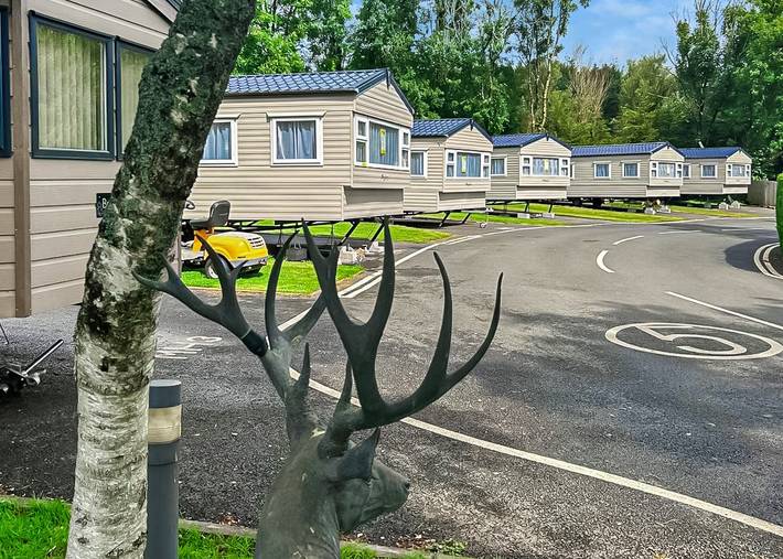 Glamping for 6 people in Dartmoor