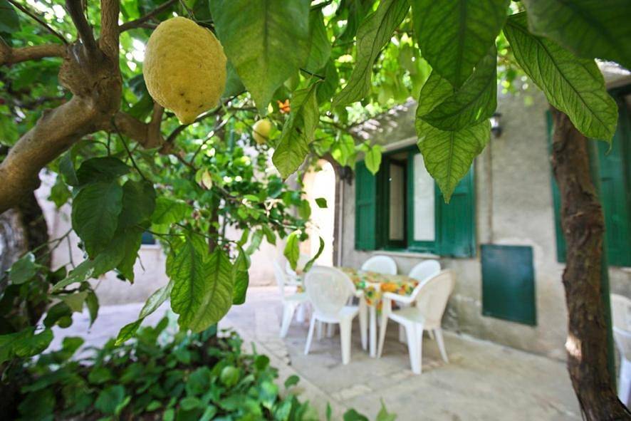 Appartamento intero, Leo Appartamenti con vista panoramica in Erice, Provincia di Trapani