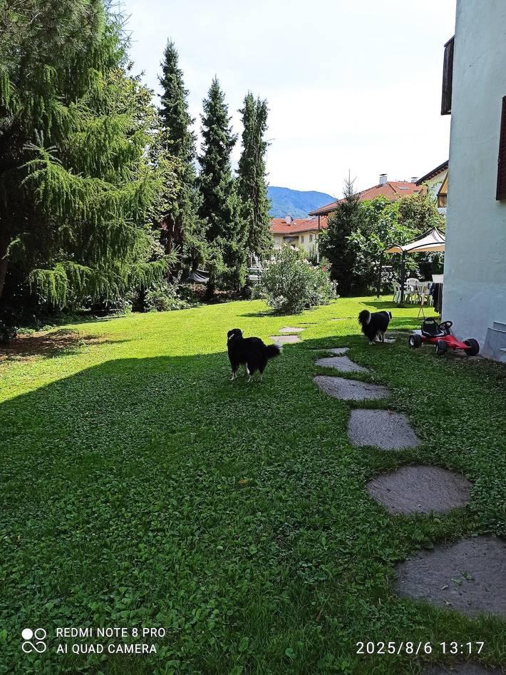 Ferienwohnung für 3 Personen, mit Garten, mit Haustier