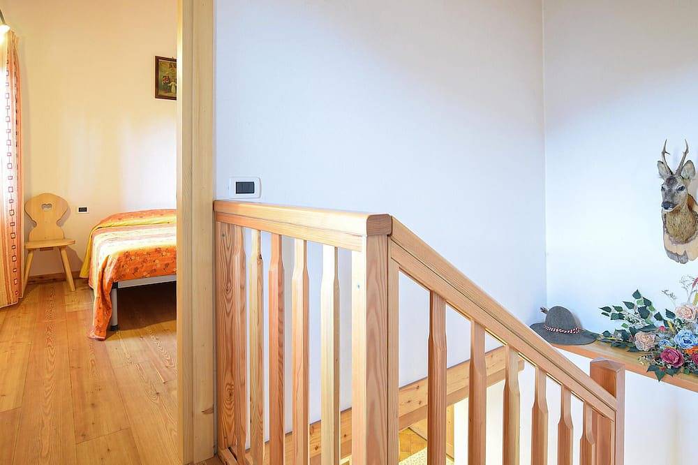 Haustierfreundliches Zuhause in. in Sovramonte, Cimonega-Gruppe