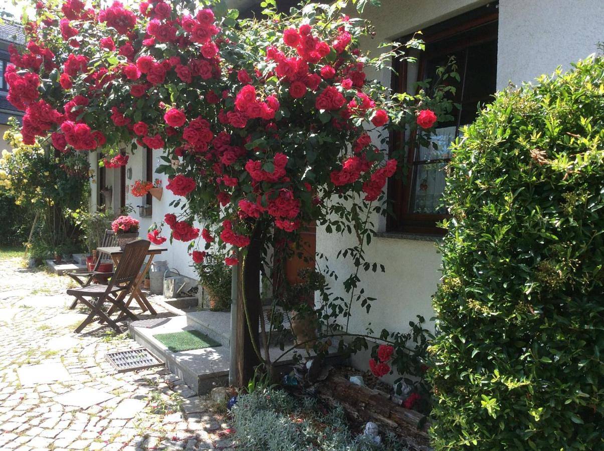 Ganze Wohnung, Ferienwohnung Sonne-Stadtrand Dresden in Moritzburg, Meißen Region