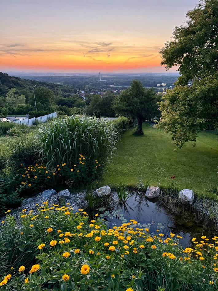Ganze Wohnung, Chalet Auenblick - Chalet mit Fernblick in Hainburg an der Donau, Bezirk Bruck an der Leitha