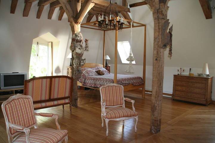 Genießen Sie ein Louis XIII Schloss mit beheiztem Pool im Loiretal, 1h30 von Paris. in Brinon-sur-Sauldre, Sologne