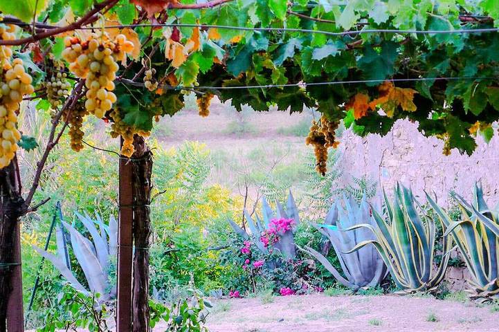 Gîte pour 5 personnes, avec jardin, animaux acceptés à Mazzarino