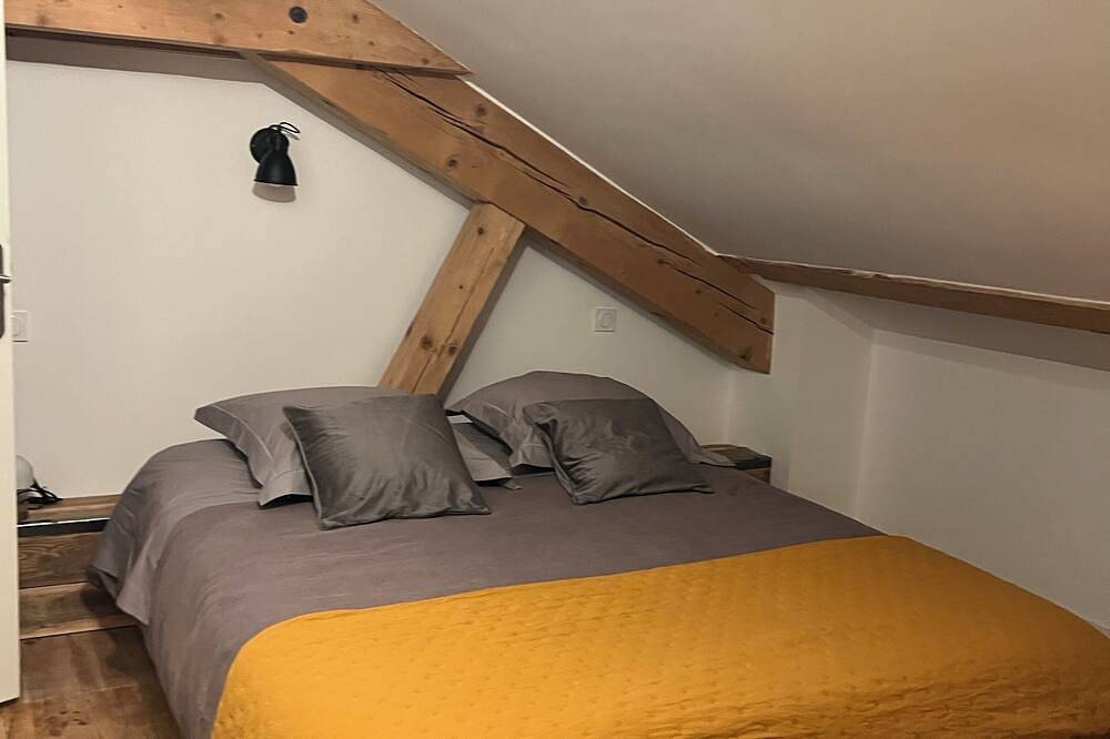 Le grand gîte des perce neige au cœur du Vercors , 310 m2 , 5  S de bains in Saint-Agnan-en-Vercors, Parc naturel régional du Vercors