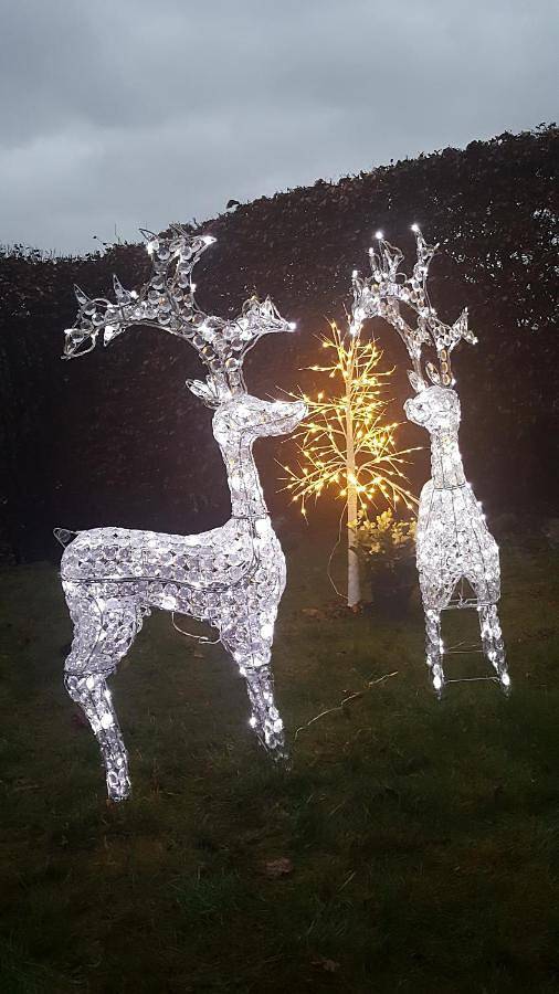 Location de vacances pour 2 personnes, avec jardin et vue à St. Vith - 2